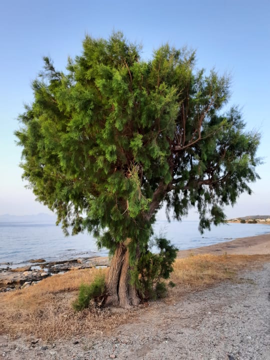 Außenansicht Kalimera Mare