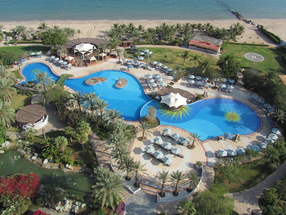 Blick auf den Pool Hotel Le Meridien Al Aqah Beach Resort
