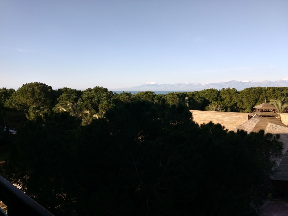 Ausblick IC Hotels Green Palace