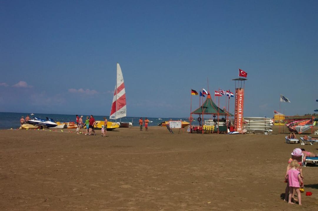 Papillon Muna Wassersport Paloma Oceana