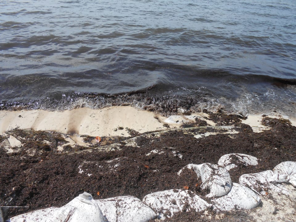 "Strand" BlueBay Grand Esmeralda