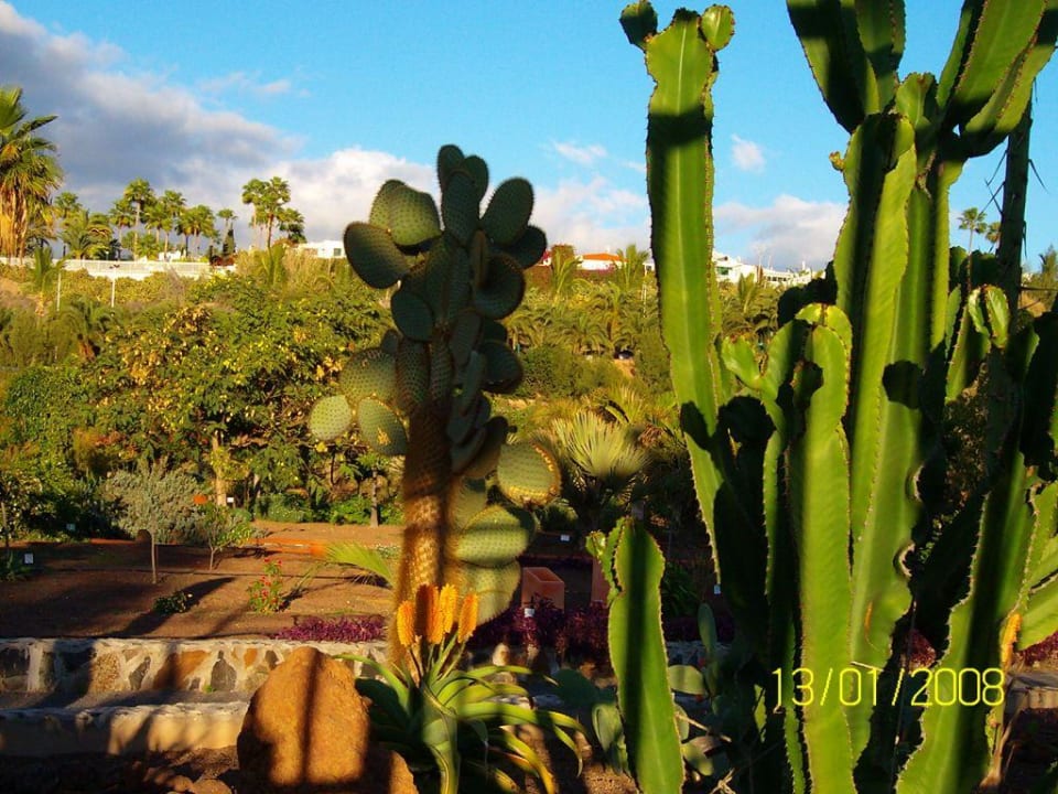 Botanischer Garten Bungalows Vistaflor