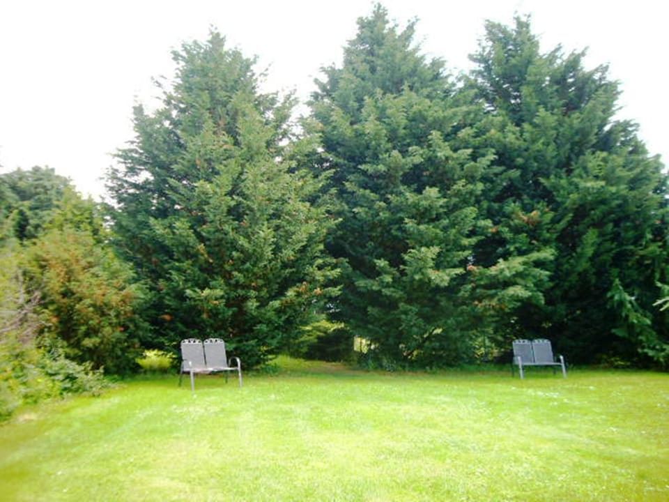 Liegewiese Hotel Helenenhof