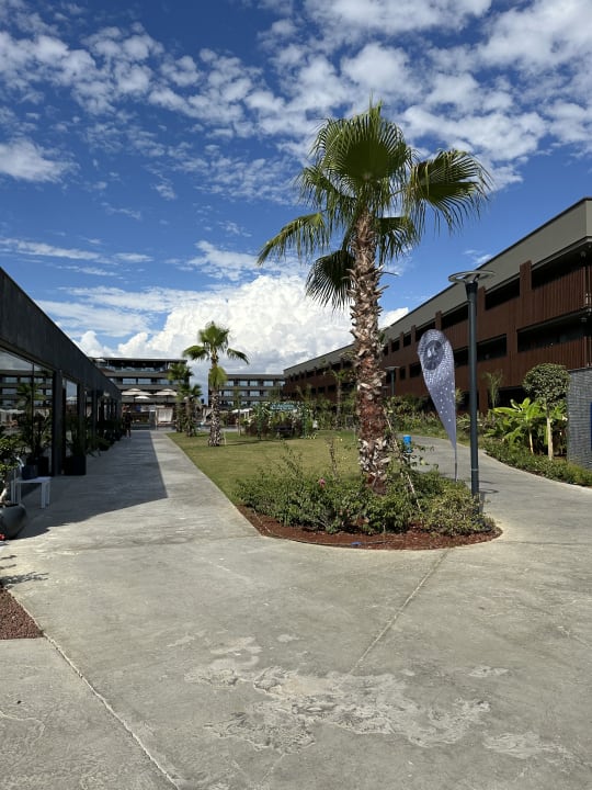 Gartenanlage Jacaranda Luxury Resort