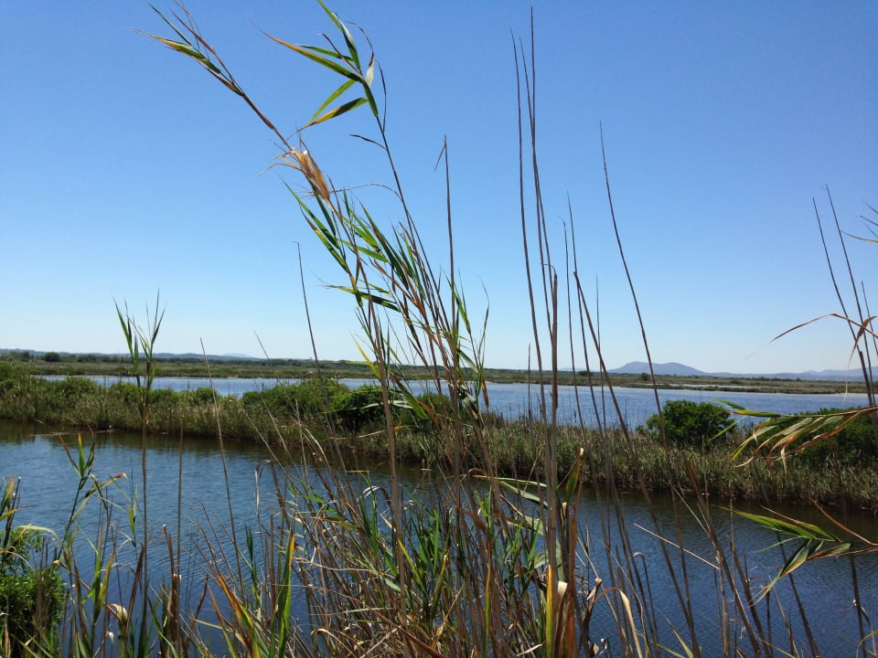 Ausblick Prinsotel La Dorada