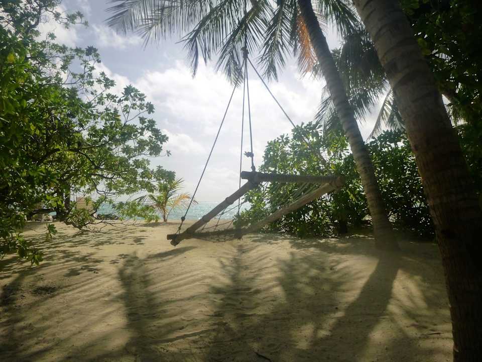 Strand Summer Island Maldives