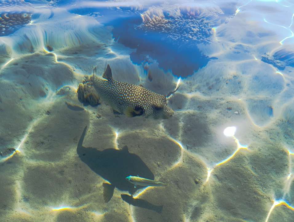 Strand Grand Waterworld Makadi