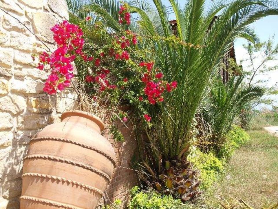 Umgebung vom Hotel Calimera Hane Garden