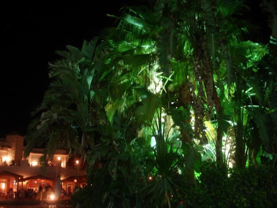 Poolinsel Brayka Bay Resort