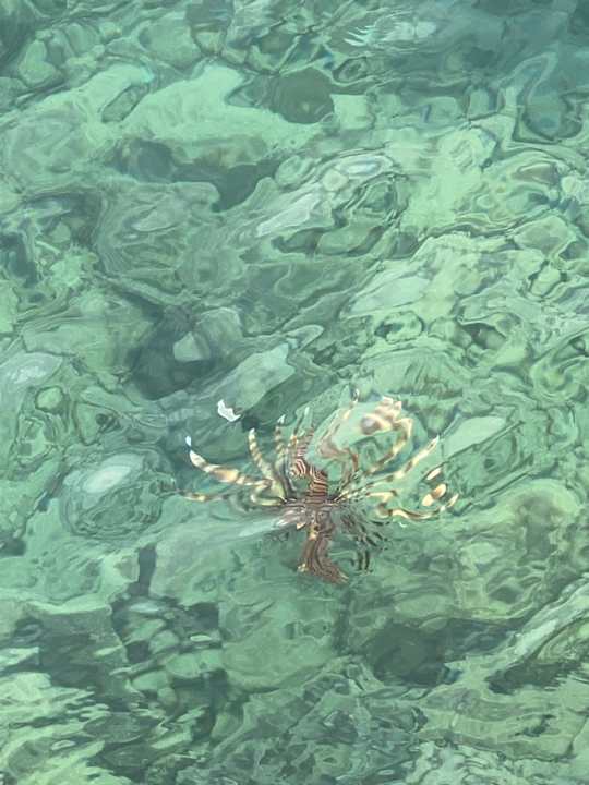 Sonstiges Sunny Days El Palacio Resort & Spa