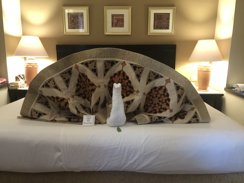 Zimmer Steigenberger Coraya Beach - Adults only