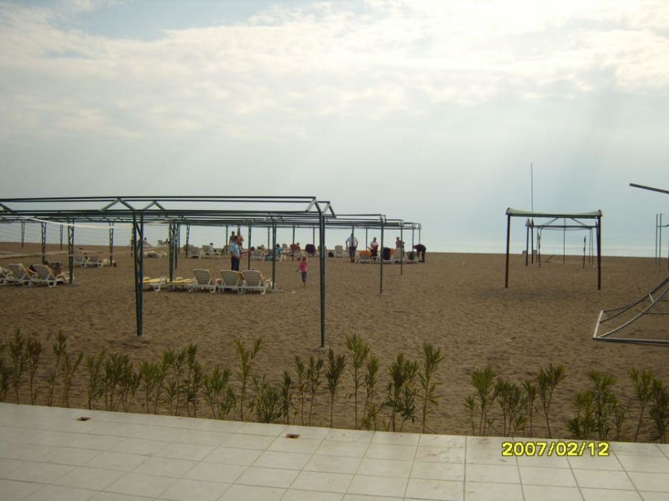 Der breite Sand-Strand! Belek Beach Resort Hotel