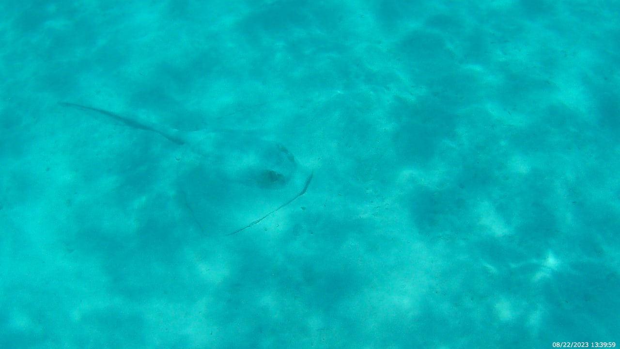 Sport & Freizeit Hotel Riu Palace Maldivas