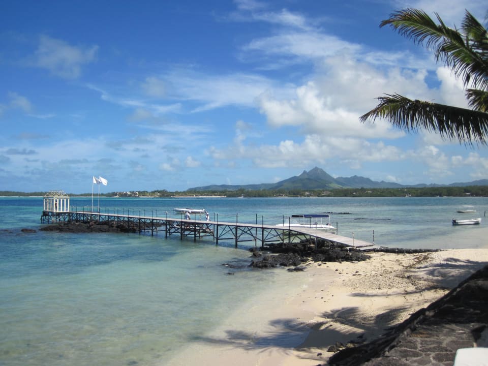 Blick von der Liege Tropical Attitude - Adults only