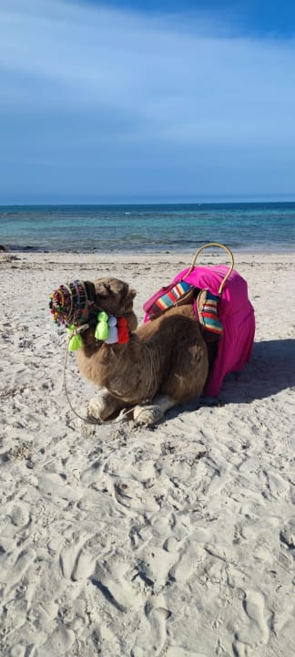 Strand Hotel Seabel Rym Beach Djerba