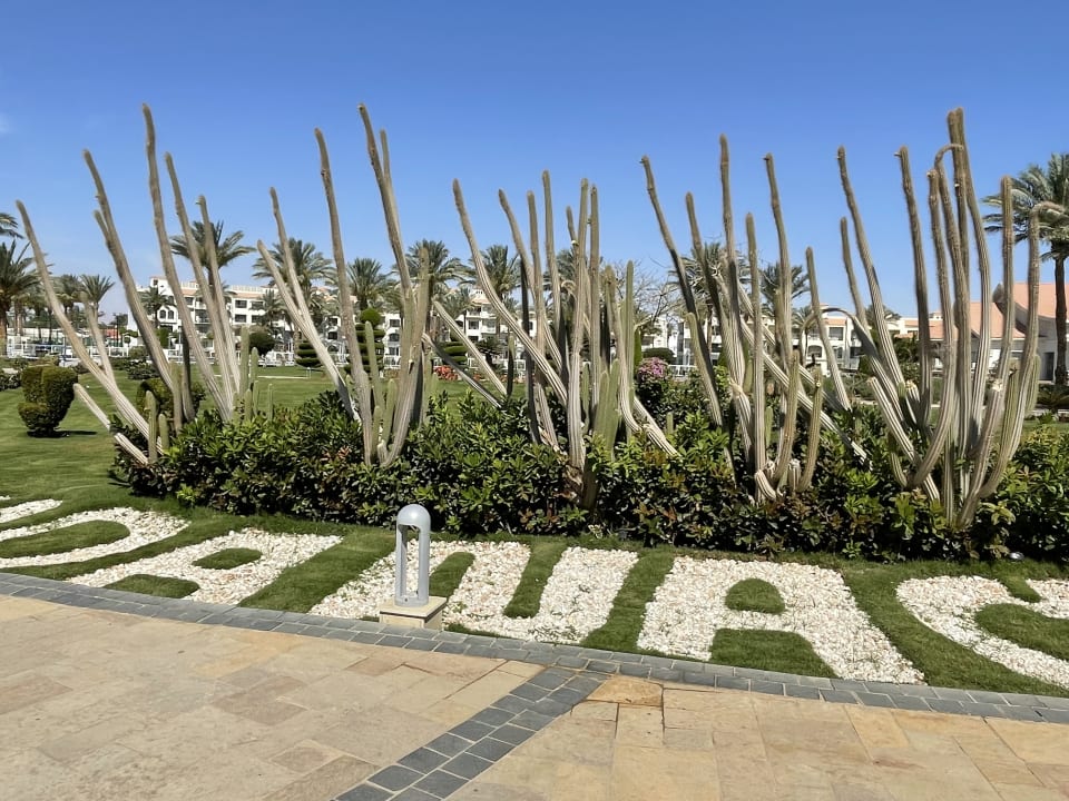 Gartenanlage Pickalbatros Dana Beach Resort - Hurghada