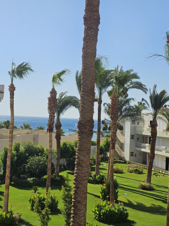 Ausblick Amarina Abu Soma Resort & Aquapark