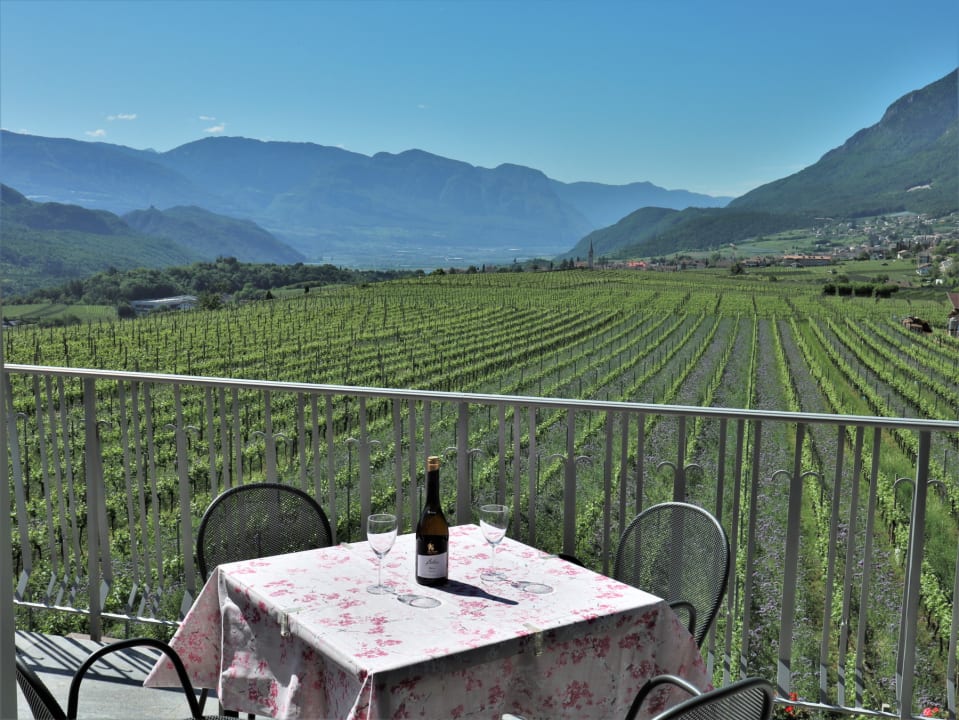 Ausblick Rebhof Kaltern