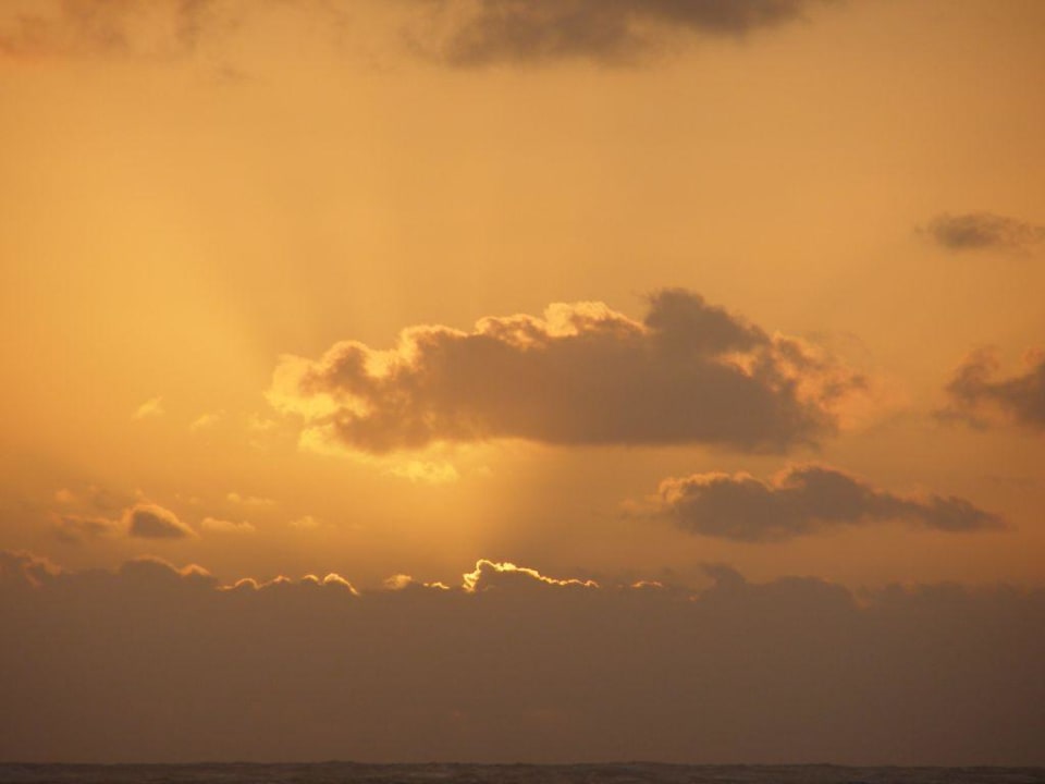 Sonnenaufgang Hotel Riu Palace Bavaro
