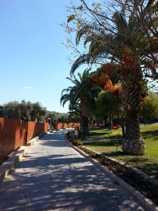 Weg und Garten,nicht für Gehbehinderte geeignet. Club Resort Atlantis
