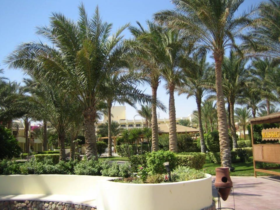 In der Hotelanlage Palm Beach Resort