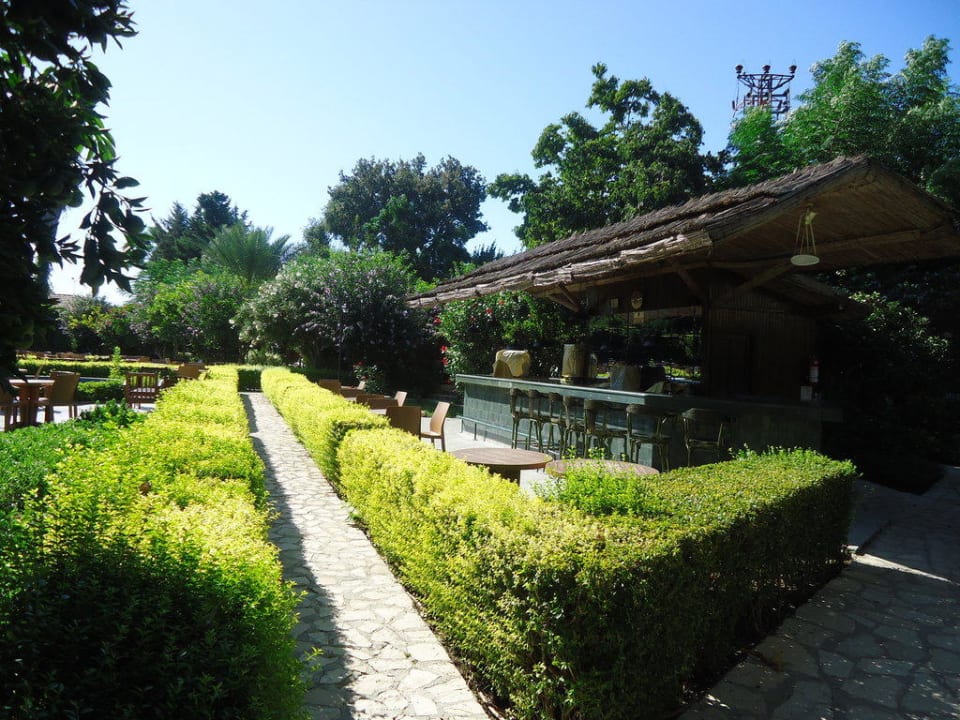 Cleopatra Bar Can Garden Beach