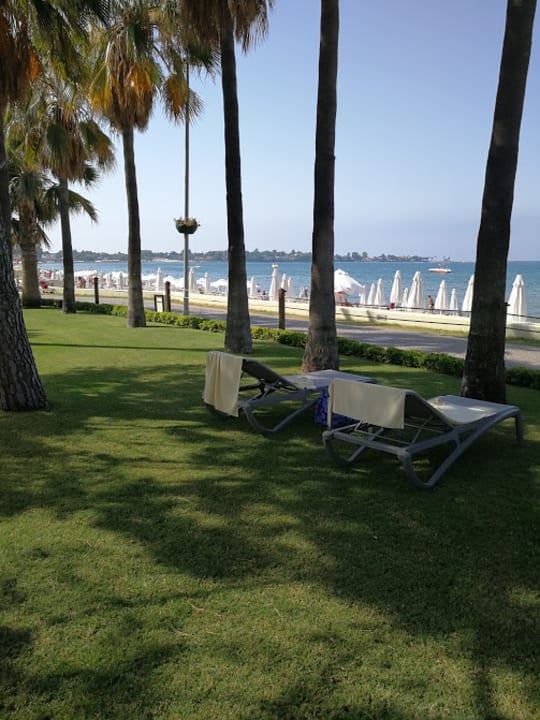 Strand Acanthus Cennet Barut Collection