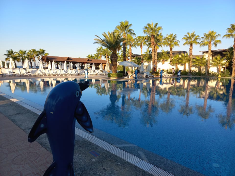 Pool Hotel Botanik Platinum