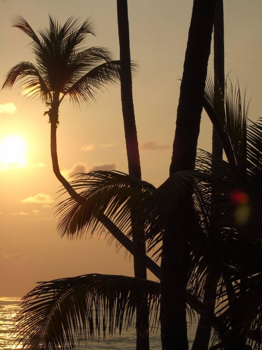 Sonnenaufgang Hotel Riu Palace Macao - Adults only