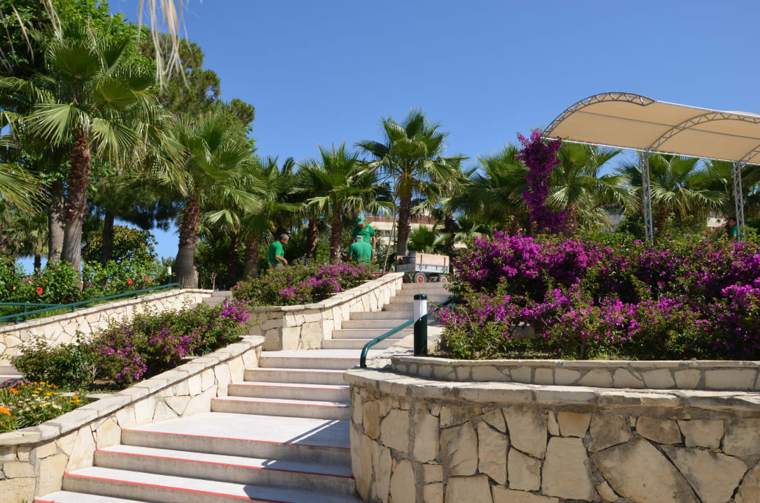 Garten im Miramare Beach Miramare Queen Hotel