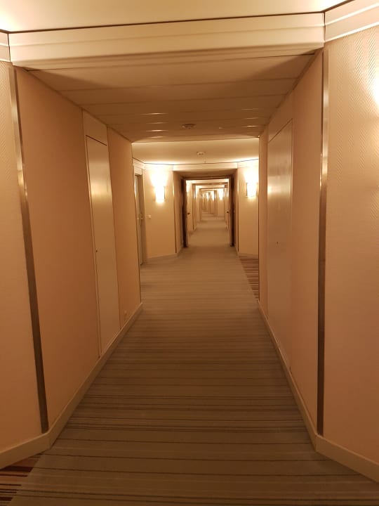 Zimmer Hilton Dresden