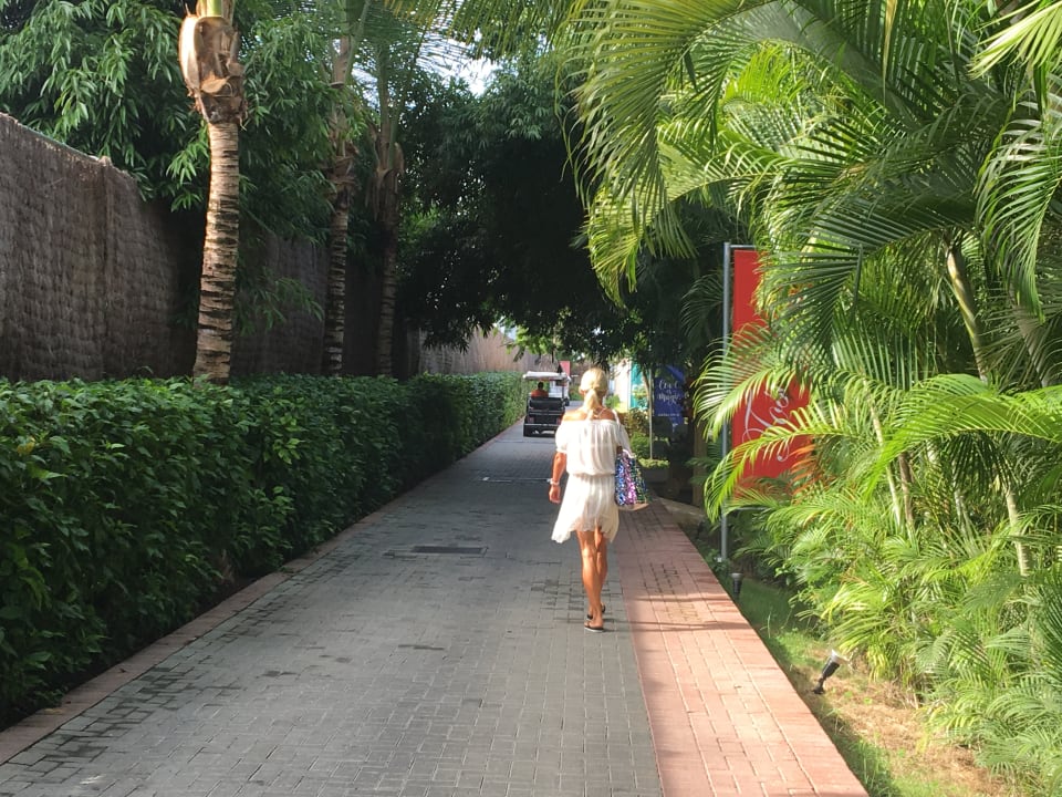 Gartenanlage Catalonia Royal La Romana - Adults only