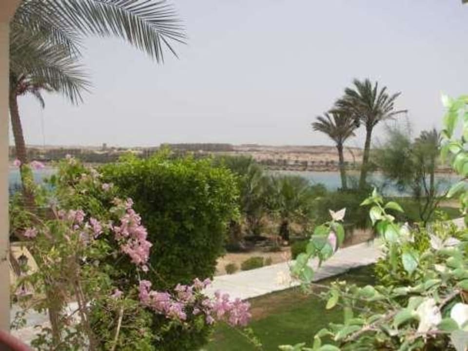 Aussicht vom der Terrasse I Steigenberger Coraya Beach - Adults only