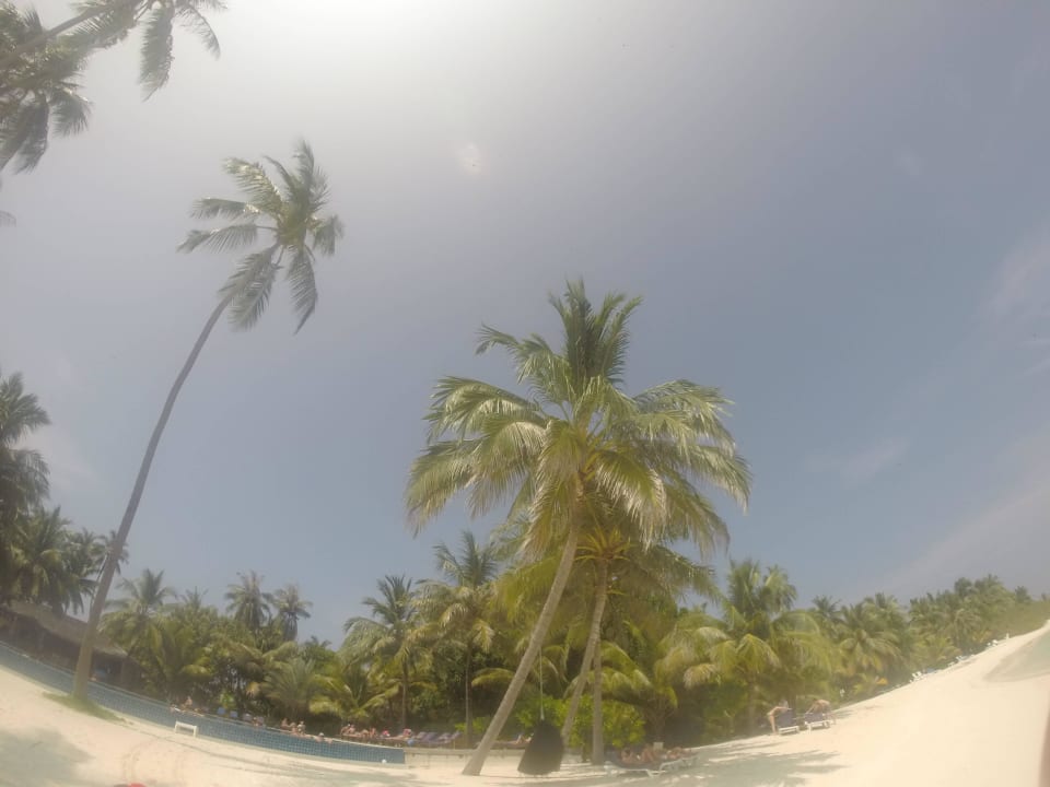 Strandansicht Meeru Maldives Resort Island