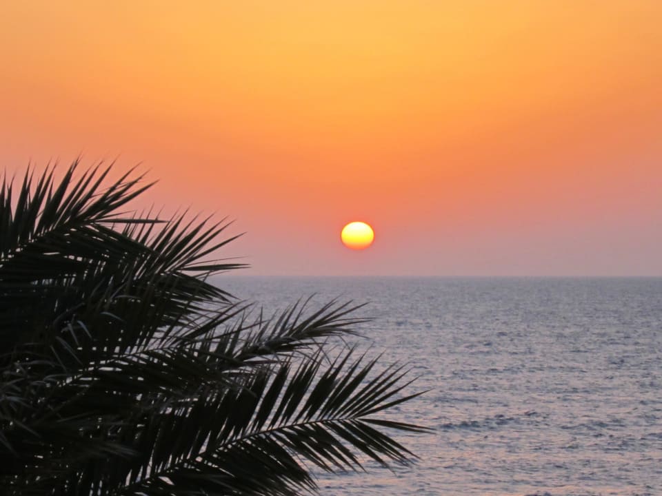 Sonnenuntergang Steigenberger Coraya Beach - Adults only