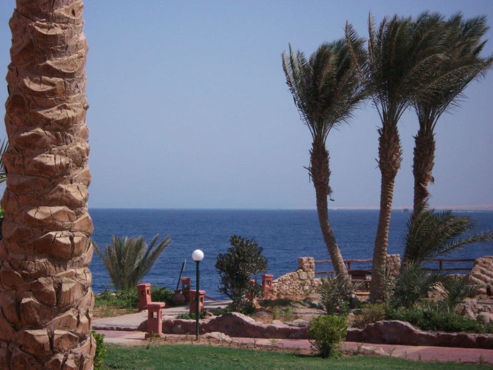 Traumhafter Blick aus Meer Hotel Hauza Beach Resort