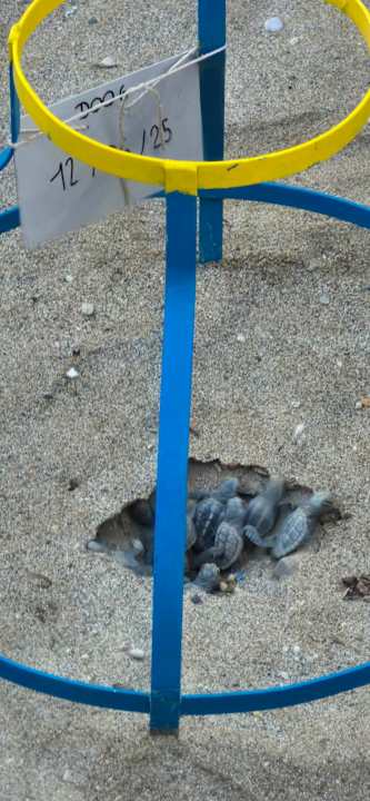 Strand Hotel Kathrin Beach