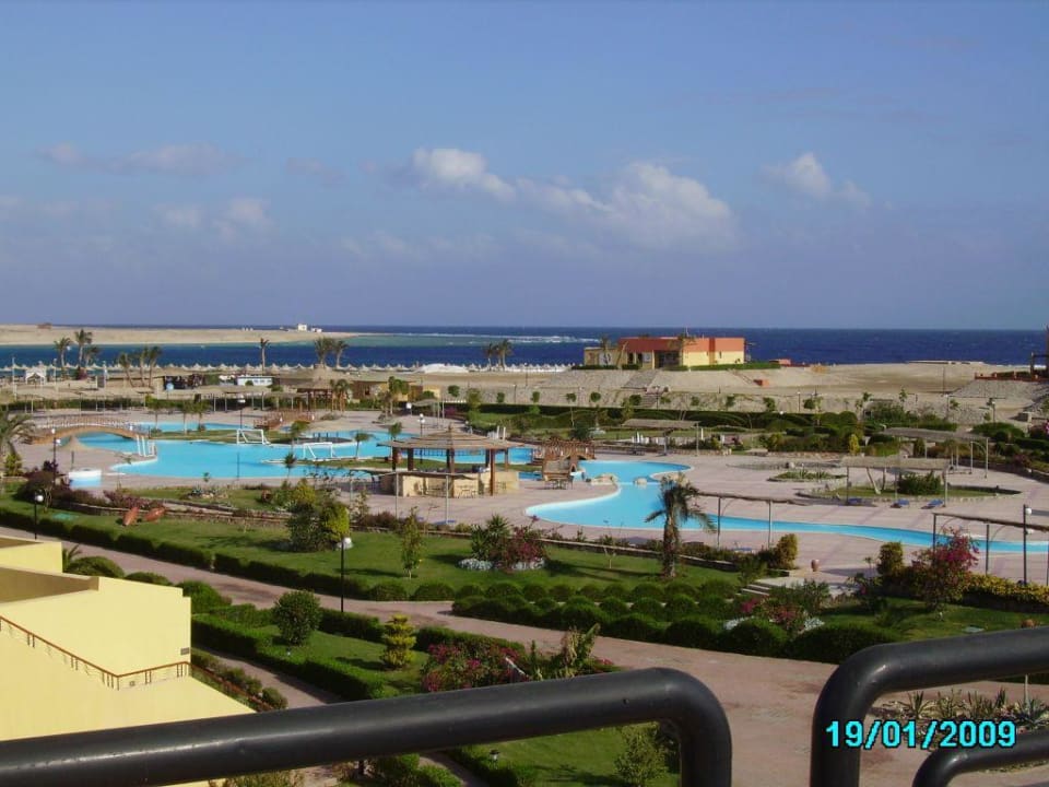 Poolanlage Malikia Resort Abu Dabbab