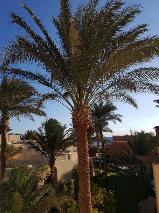 Ausblick Jaz Makadina