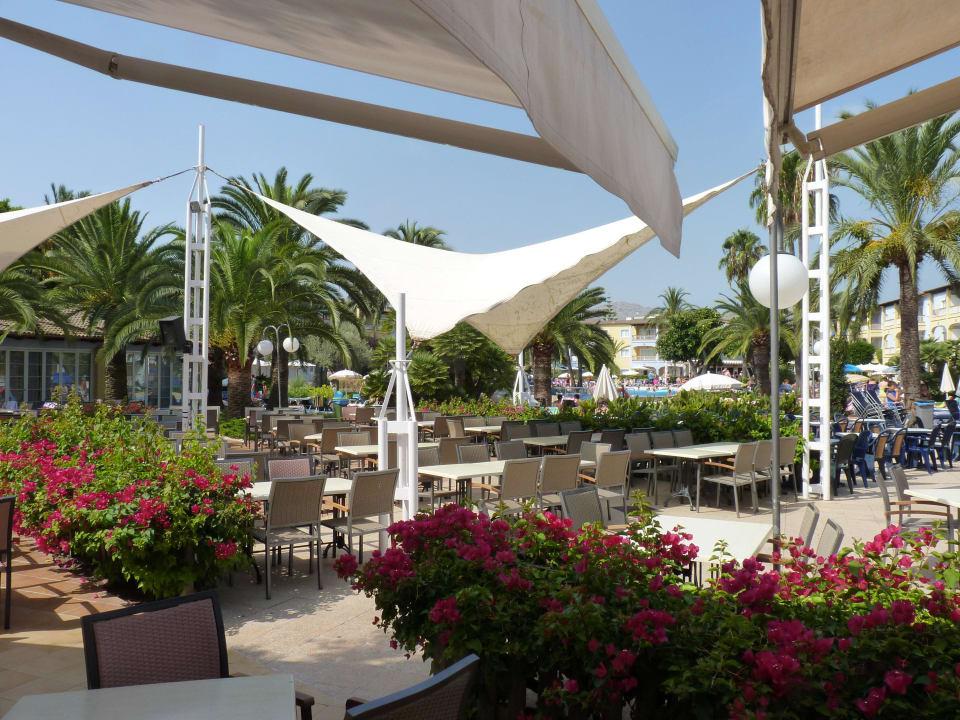 Außenterrasse Alcudia Garden Aparthotel