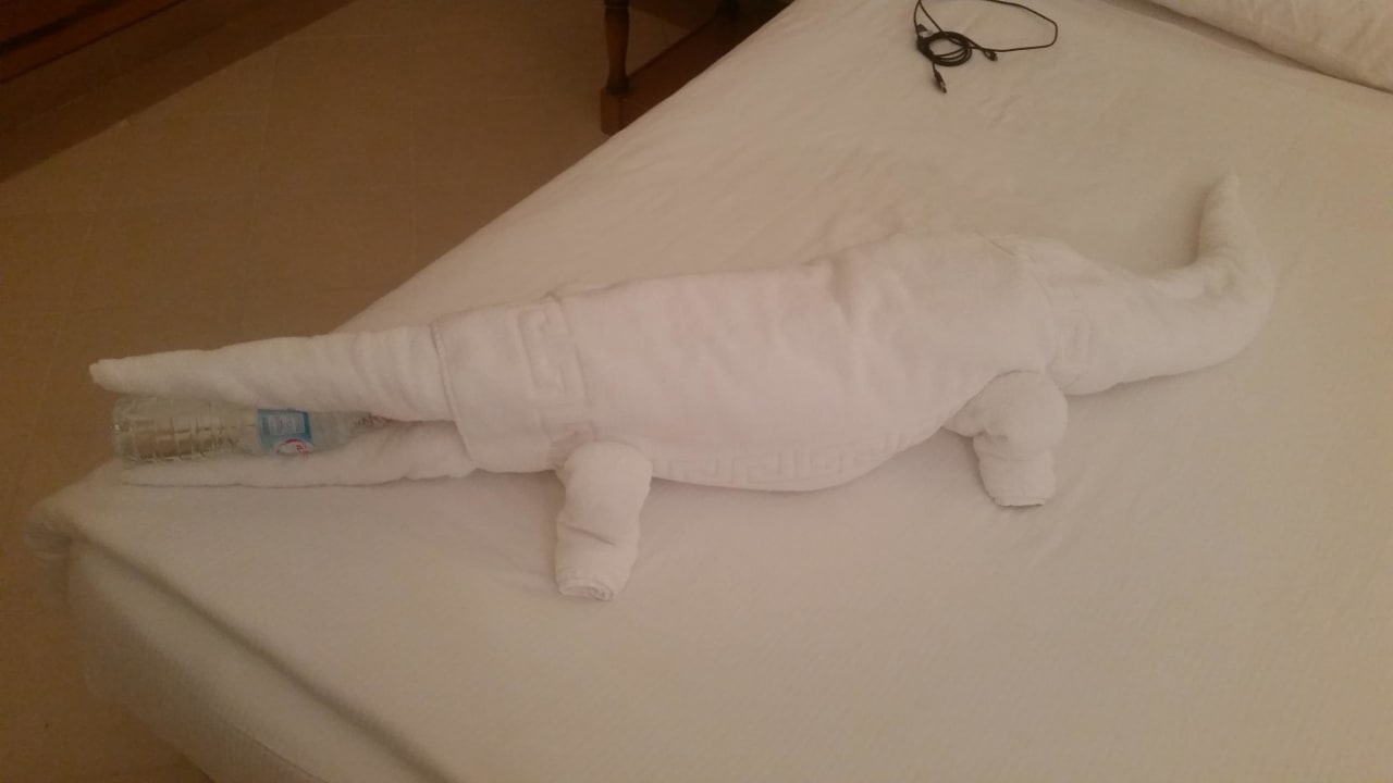 Vom Personal Pickalbatros Dana Beach Resort - Hurghada