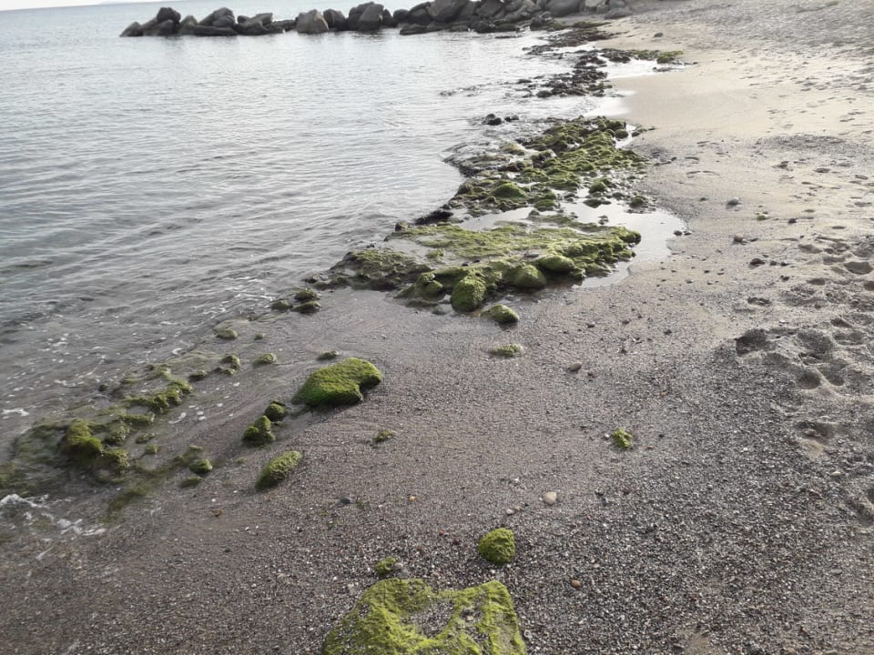 Strand Porto Bello Royal