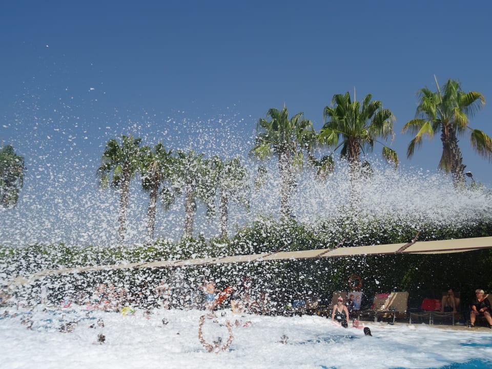 Pool Hane Family Resort