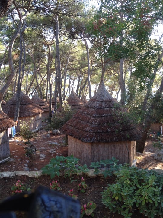 Hütten im Pienienwald Pine Beach Pakostane