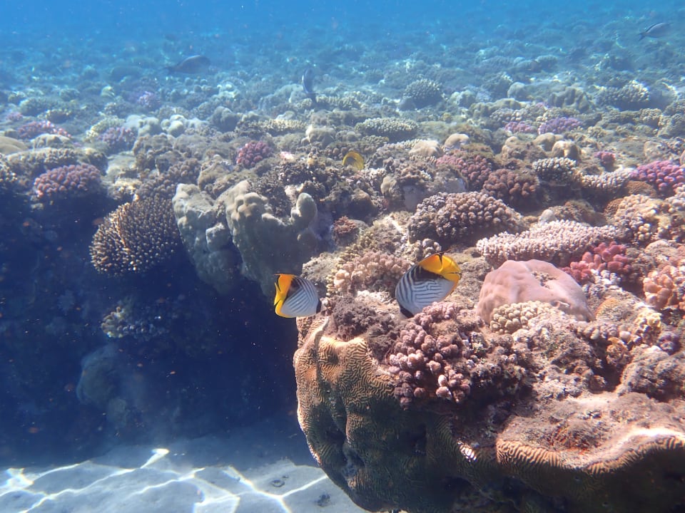 Strand Shams Alam Beach Resort