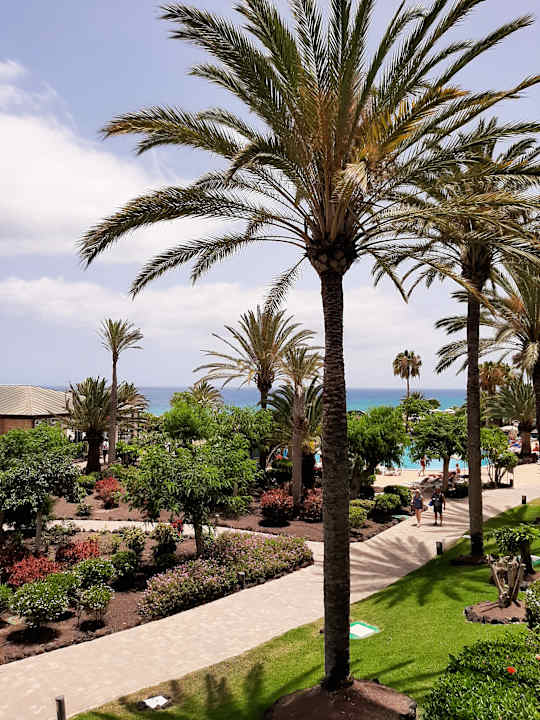 Ausblick R2 Pajara Beach