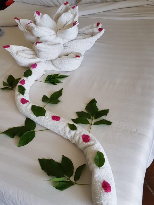 Tolle Überraschungen Three Corners Sea Beach Resort