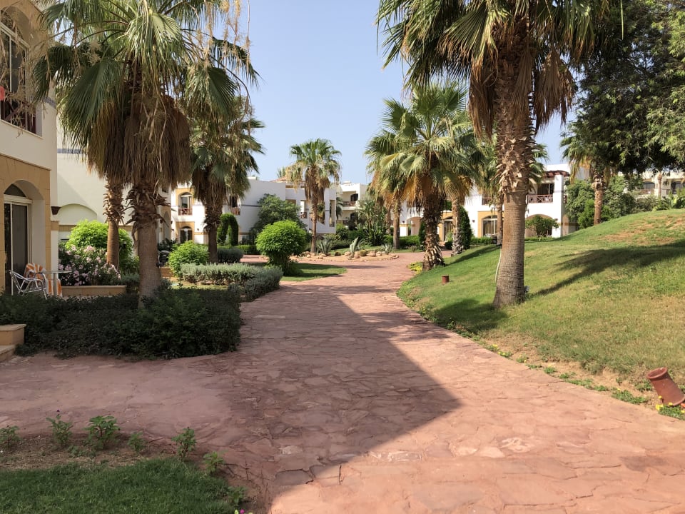 Gartenanlage Amphoras Blu