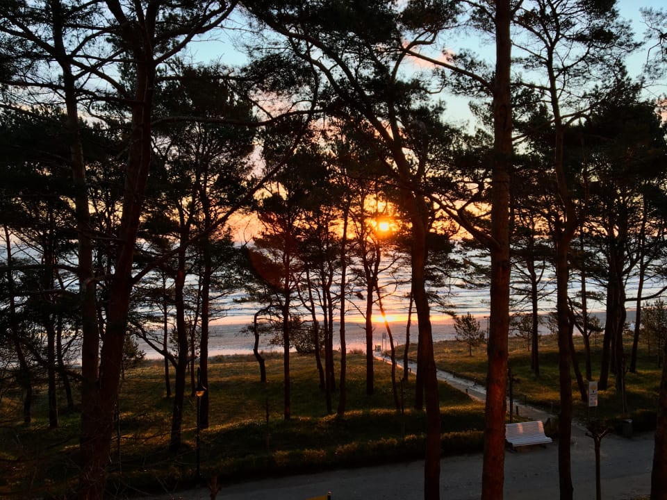 Ausblick IFA Rügen Hotel & Ferienpark