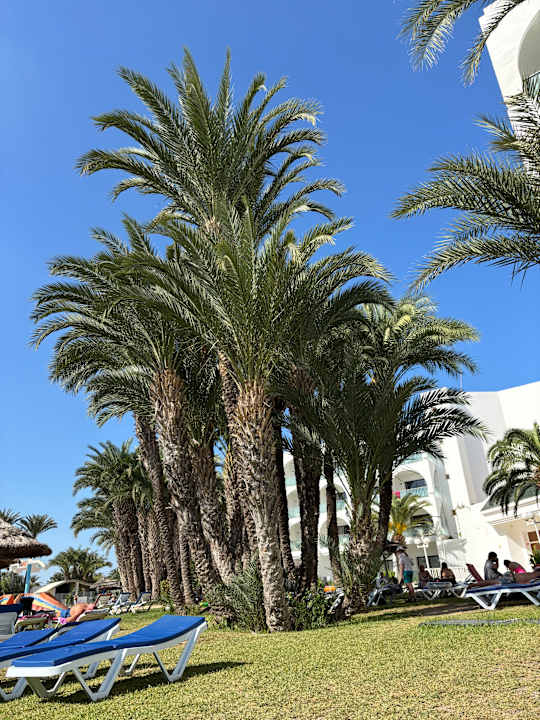 Gartenanlage Calimera One Resort Jockey